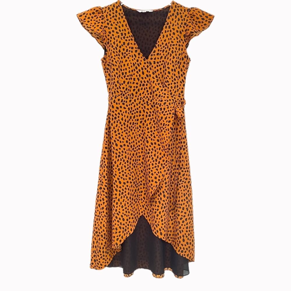BB Dakota Leopard Print Wrap Dress Sz XS